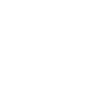 a9 a9